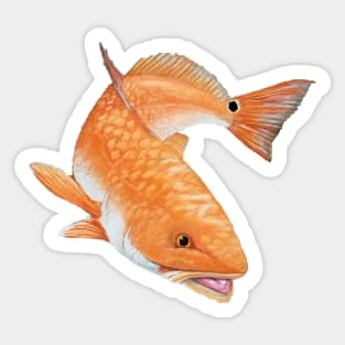 Redfish Sticker